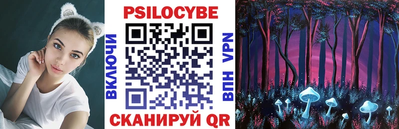 Псилоцибиновые грибы прущие грибы где купить наркоту Агрыз